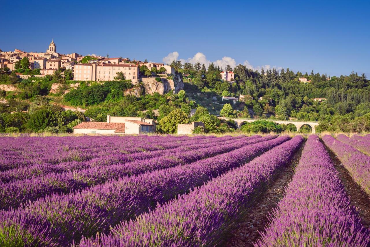 Provence Now Apartment Cabrières-dʼAvignon Exterior foto