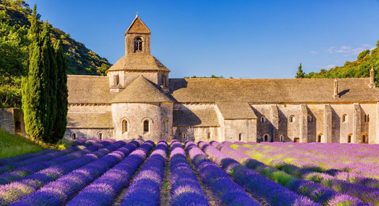 Provence Now Apartment Cabrières-dʼAvignon Exterior foto