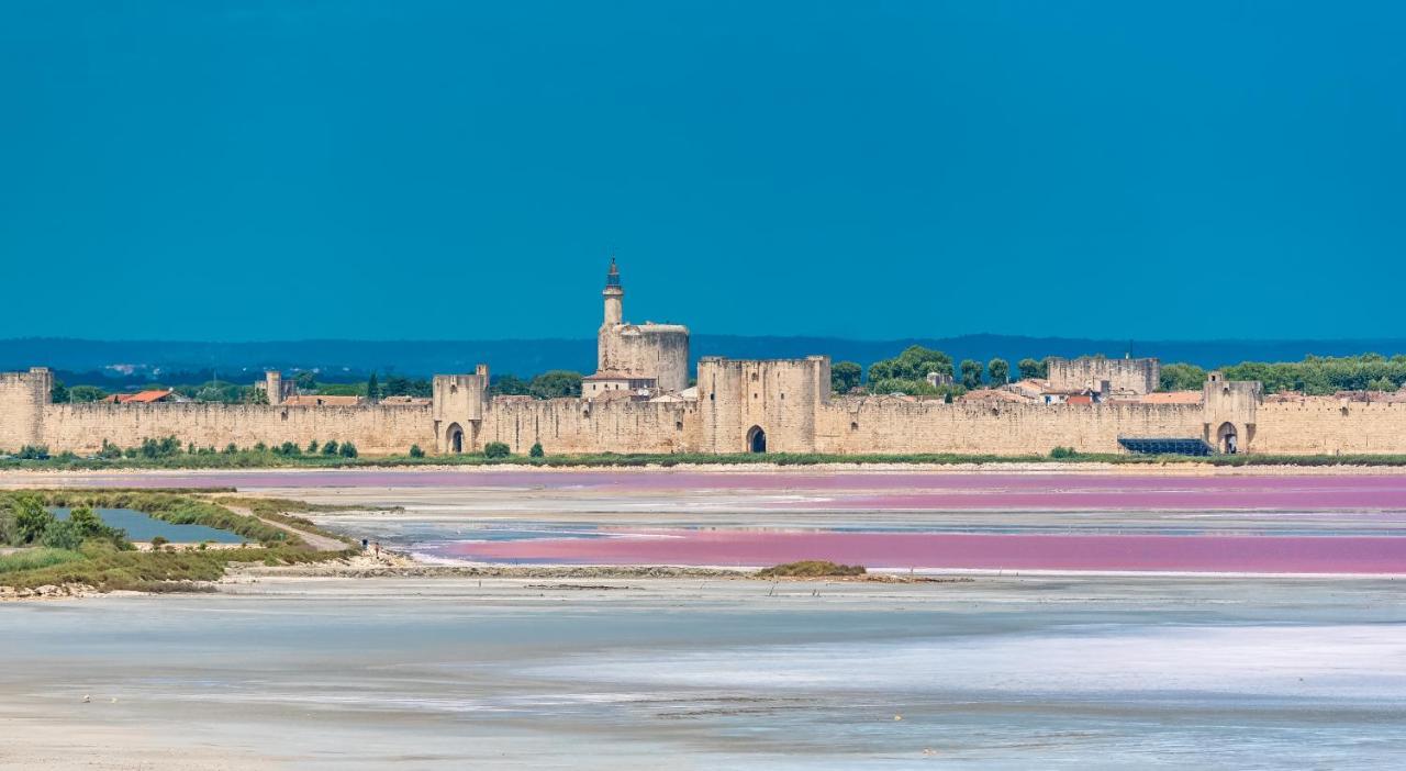 Provence Now Apartment Cabrières-dʼAvignon Exterior foto